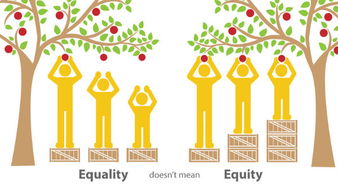 equity和equality有什么区别 