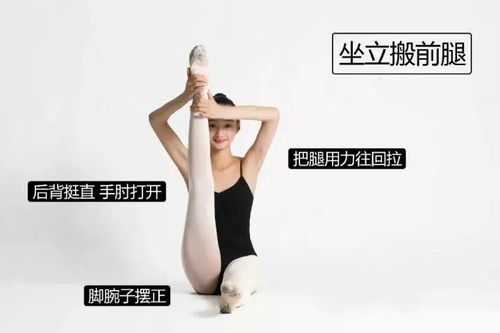 艺术培训 艺术小站 中国舞基本功训练干货图解