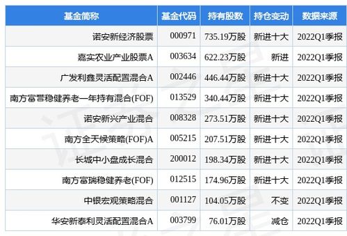 2022年诺安股票基金的涨跌？