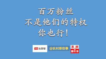 最火的三农自媒体有哪些他们都是怎么做的(三农题材的自媒体怎么做)