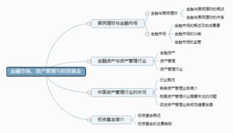 金融市场上投资者的投资目标有哪几种?