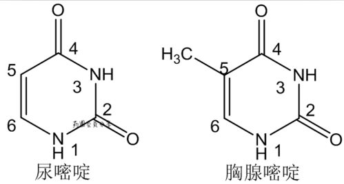 长假复习 药物结构中常见的化学骨架及名称