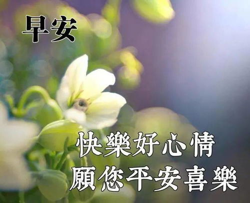 最暖心的早上好动态表情图片,漂亮的早安图片祝福语录