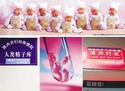 广州8胞胎(广州富商花百万做的8胞胎试管婴儿)