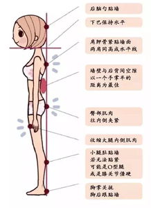 张天爱瘦了40斤,但她的减肥方法我不推荐