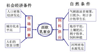 教师专业知识类型