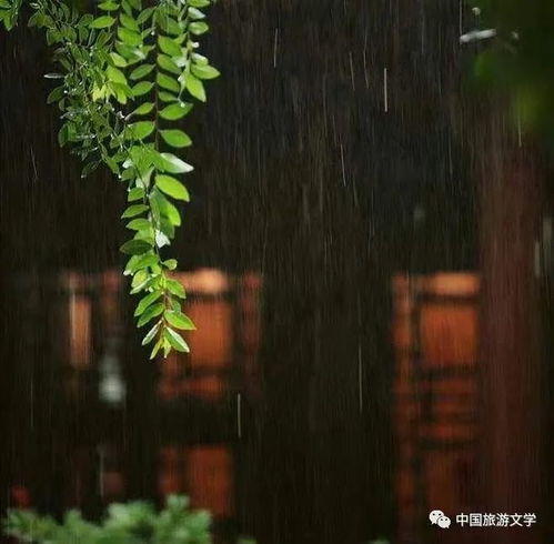 行走丨倚窗,听雨