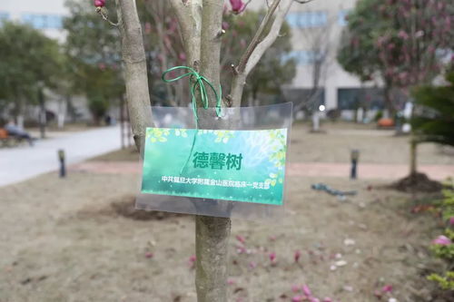 植树节 每一颗树,都是用心种下的希望