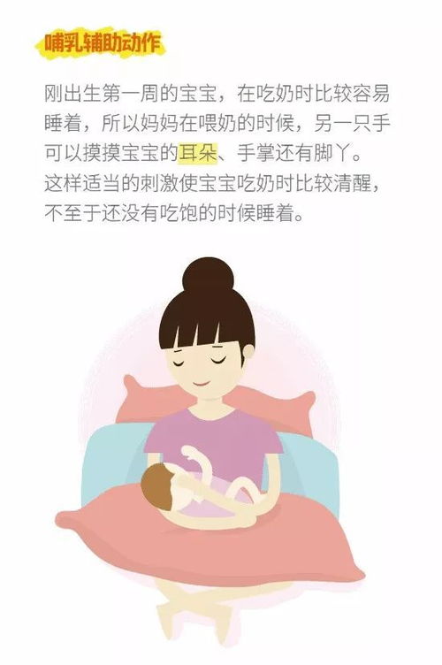 如何母乳喂养，如何指导家长正确进行母乳喂养