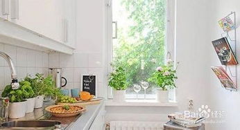 植物风水 客厅与厨房放什么绿植比较好