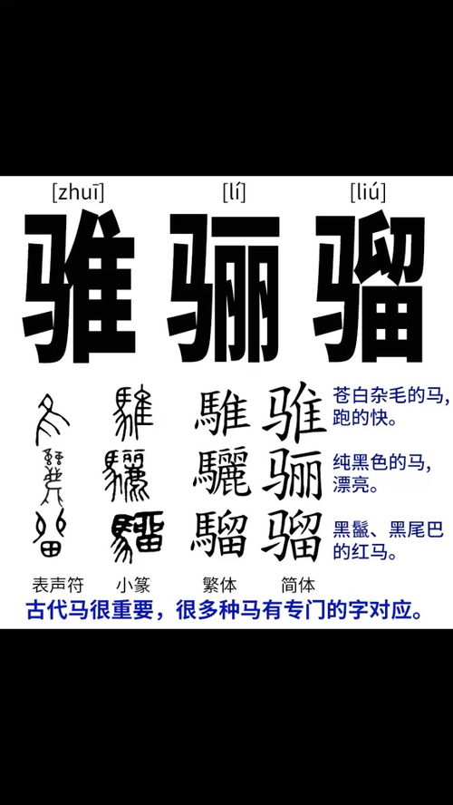 骓骊骝 说文解字 识字 马 古代马对人类的生活和军事活动非常重要,很多种马都有专门的汉字对应 