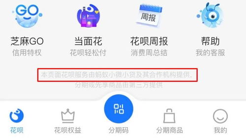 重庆是目前对对于网贷之类的要求很高吗，请问具体有什么呢？