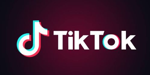 tiktok助手下载_TikTok 商业 账号