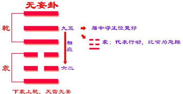 易经第二十五卦 无妄卦详解