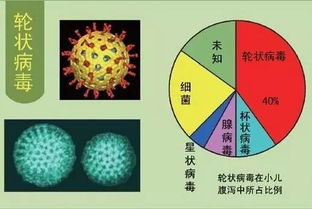 轮状病毒的症状与病因，轮状病毒的感染