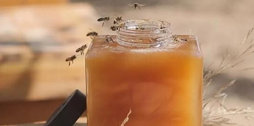 铁观音能够同蜂蜜一起喝吗,铁观音可以和蜂蜜一起喝吗
