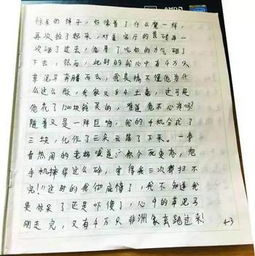 什么样的手的作文