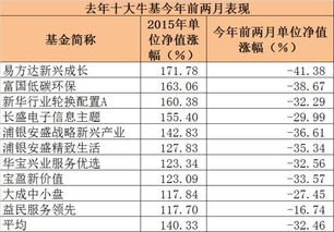 自调整以来，基金跌幅最小的是哪一只?