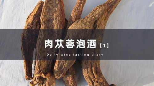 正宗好喝的肉苁蓉泡酒,一分钟教会你 