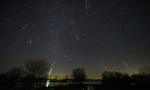 11月26日 射手座 双鱼座 金牛座 每日星座运势