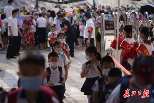 在武汉的外地学生如何回去上学(外地户口在武汉上学需要什么条件2020年)