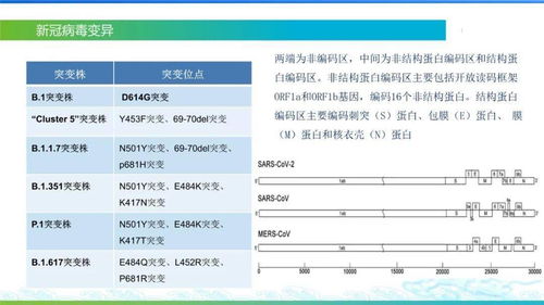 查重后报告：常见问题及解决方案