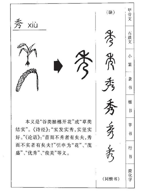 中间子字的取名