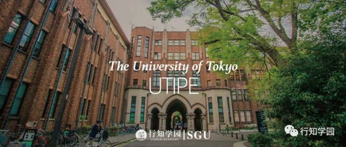 SGU申请必看 东京大学UTIPE项目2021年4月 9月入学申请期