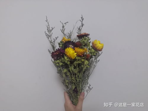 夏季家里适合摆什么干花 