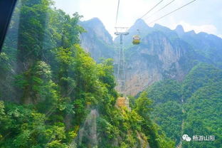 哇塞 史上最全天竺山景区景点介绍 