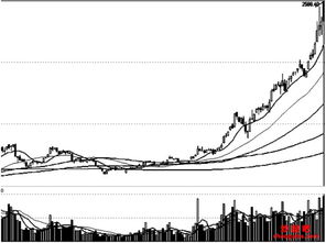 怎么从基本面选股？