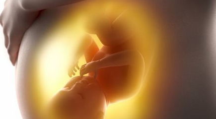 怀孕初期吃什么对胎儿发育好，怀孕初期吃什么食物对胎儿发育好