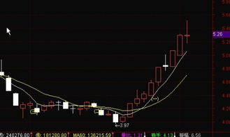 怎么打新股啊？我不知道 怎么在同花顺上打