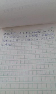 读书经历怎么写(400字以上)