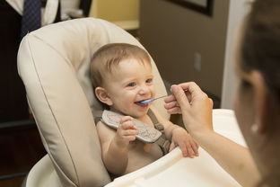 六个月宝宝添加辅食大揭秘：这样添加，宝宝健康又聪明