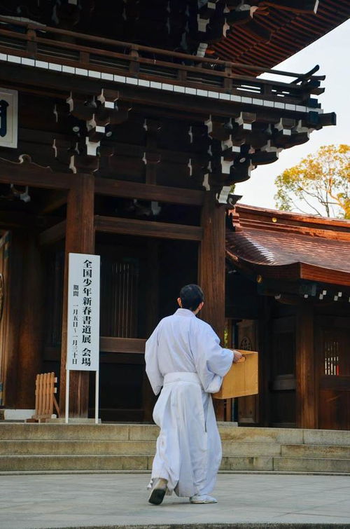 东京有一个神宫,参拜人数全国第一,就藏在森林里