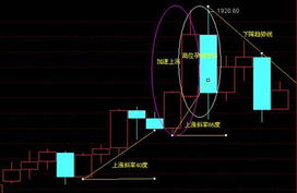 结合实际谈谈基本分析和技术分析各有哪些优势和短板