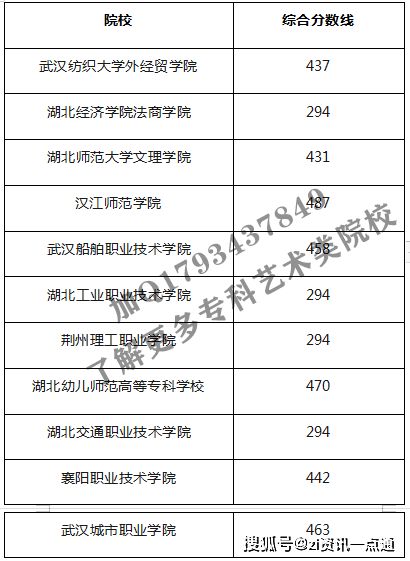 2021年湖北专科美术生可以读哪些大学