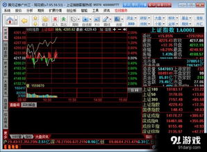 在国元证券通达信行情软件中输入股票代码的在哪？