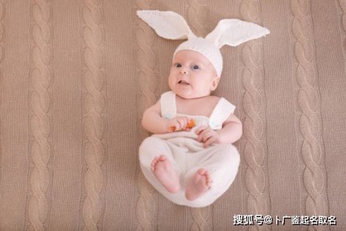 2022年出生的宝宝起名测名 虎宝宝乳名大全集