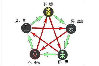 四柱八字入门 八字入门基础知识 八字入门初学 八字网 