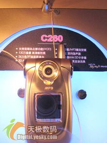 天翼 CDMA 1x 800 垃圾网络