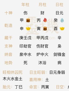 烦请各位大师看看以后命好不好,可以做什么 