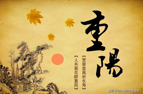 关于中国传统节的诗句