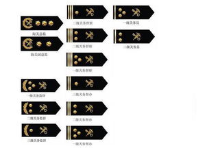 海关制服上肩章上的星代表什么意思 
