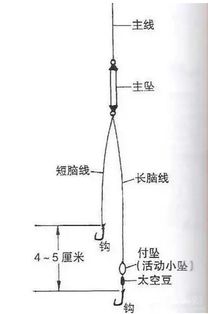 传统钓线组搭配及七星漂使用技巧分享