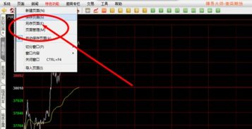 如何在期货交易软件中看分时图 