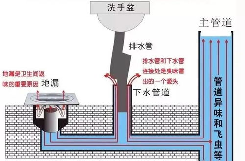 卫生间装修,漏水 异味 这些雷区一定要避开