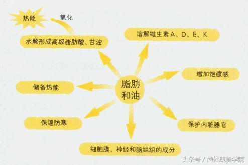 为什么脂肪是最主要的储备能源(为什么脂肪是最主要的储备能源来源)