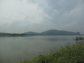 湖州掠影,一日四景 下雨何妨 心晴就好 ,湖州自助游攻略 